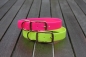 Preview: Biothane collar, Gold 25mm (buckle) + option free label with print