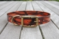 Preview: Biothane collar, Gold 25mm (buckle) + option free label with print