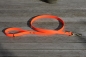 Preview: Biothane leash 19mm