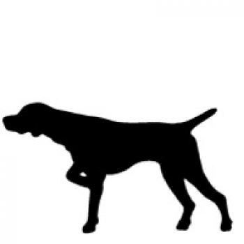 Car-Sticker "Weimaraner, docked"