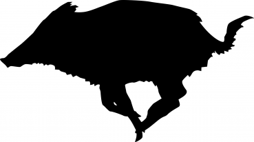 Car-Sticker "Wild Boar Getaway"