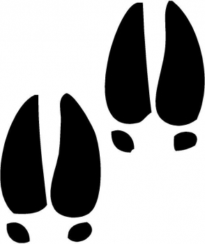 Car-Sticker "Deer Track Print"
