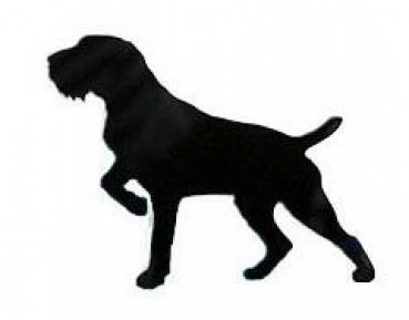 Car-Sticker "German Wirehaired Pointer, docked"