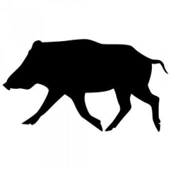 Car-Sticker "Wild Boar"