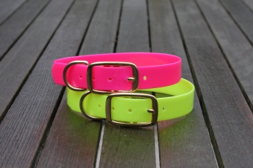Biothane collar, Gold 25mm (buckle) + option free label with print