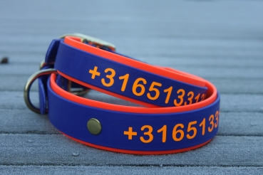 Biothane collar+PRINT 19/25 "bicolor" (buckle)