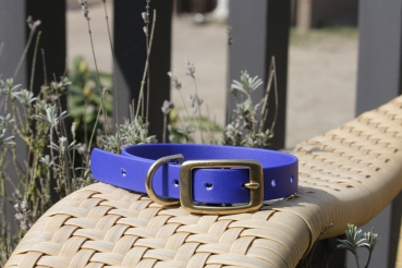 Biothane collar 19mm (buckle)