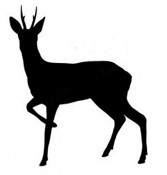 Car-Sticker "Roebuck 1"