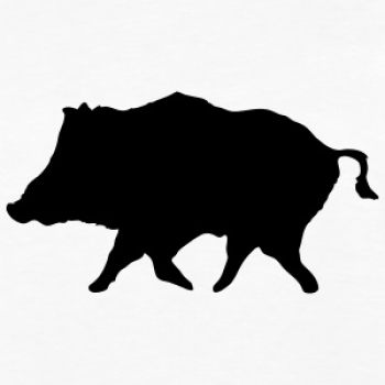 Car-Sticker "Wild Boar Keiler"