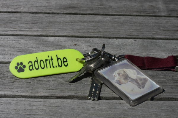 Biothane collar, Gold 25mm (buckle) + option free label with print