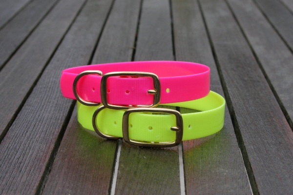 Biothane collar, Gold 25mm (buckle) + option free label with print