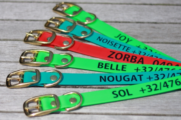 Biothane collar WITH PRINT, 25mm (buckle)