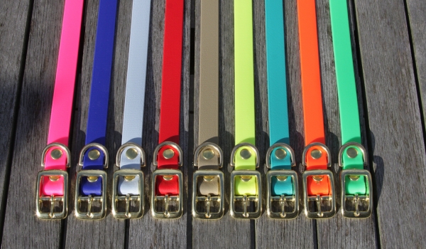 Biothane collar 19mm (buckle)