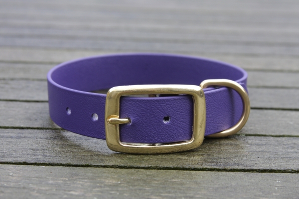 Biothane collar 25mm (buckle)
