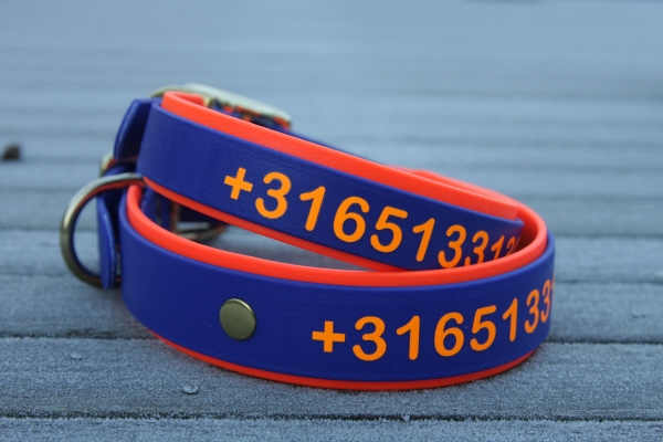 Halsband+PRINT 19/25 "bicolor" (kleine Schnalle)