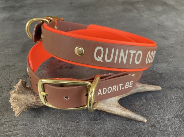 Biothane collar+PRINT 19/25 "bicolor" (buckle)