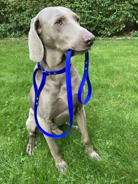 Biothane hunting leash 19mm "BLUE"