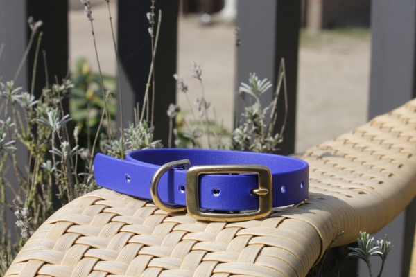 Biothane collar 19mm (buckle)