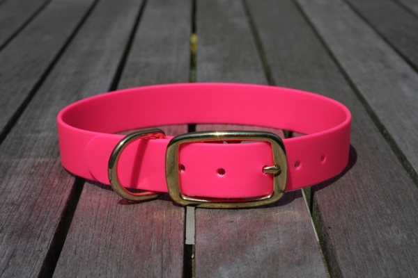 Biothane collar 25mm (buckle)