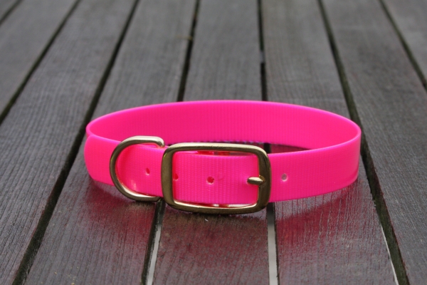 Biothane collar, Gold 25mm (buckle) + option free label with print