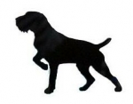 Car-Sticker "German Wirehaired Pointer, docked"