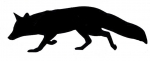 Car-Sticker "Fox"