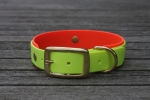 Biothane collar 19/25mm "bicolor" (buckle)