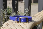 Biothane collar 19mm (buckle)