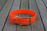 Biothane collar, Gold 25mm (buckle) + option free label with print