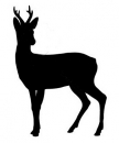 Car-Sticker "Roebuck 2"