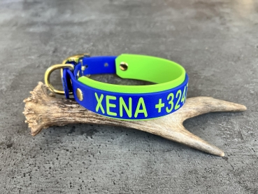 Preview: Halsband+PRINT 19/25 "bicolor" (kleine Schnalle)