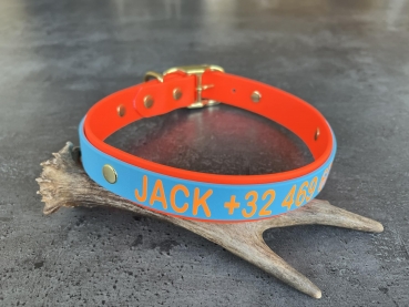 Biothane collar+PRINT 19/25 "bicolor" (buckle)