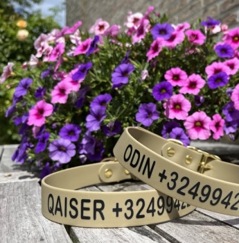 Biothane collar WITH PRINT, 25mm (buckle)