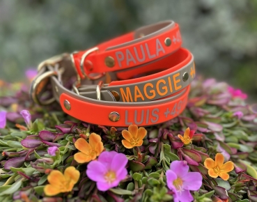 Biothane Halsband+PRINT 19/25 "bicolor" (Schnalle)