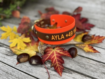 Biothane Halsband MIT PRINT 25/50mm "bicolor" (Schnalle)