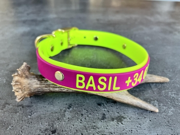 Biothane collar+PRINT 19/25 "bicolor" (buckle)