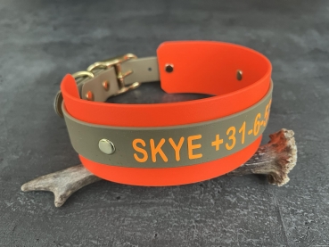 Biothane Halsband MIT PRINT 25/50mm "bicolor" (Schnalle)