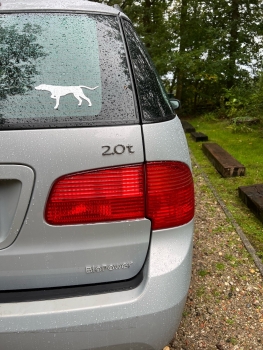 1 GRATIS Sticker bei jeder Bestellung -adorit-August-Aktion-