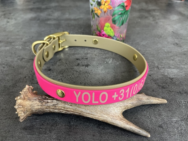 Biothane collar+PRINT 19/25 "bicolor" (buckle)