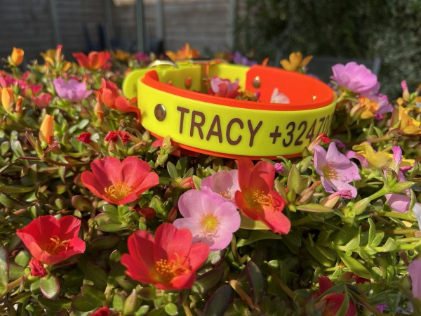 Collar+PRINT 19/25 "bicolor" (small buckle)