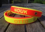 Biothane collar+PRINT 19/25 "bicolor" (buckle)