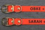 Biothane collar WITH PRINT, 19mm (buckle)