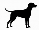 Car-Sticker "Vizsla Kurzhaar"